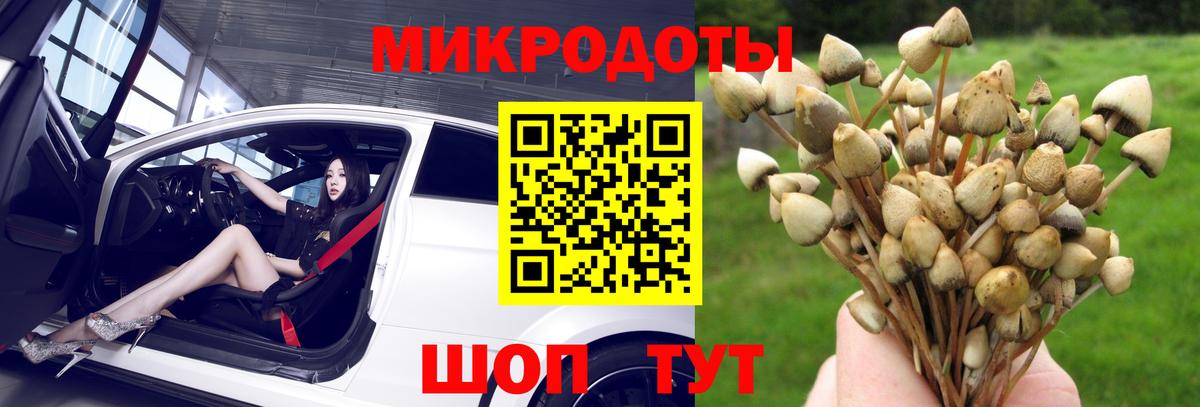Галлюциногенные грибы Magic Shrooms  Вход с VPN  Нефтеюганск 